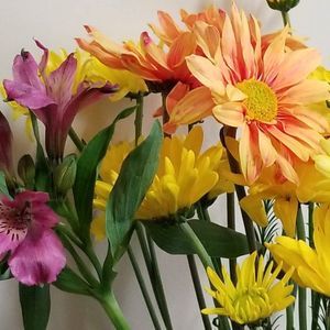 Meet your Posher, Leandra